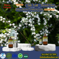 tinh-dau-choi-xue-thanh-hao-baeckea-frutescens-leaf-essential-oil-1-lit - ảnh nhỏ  1