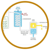 bb72f758ade66d1d19125a846c34f53a0bc60883