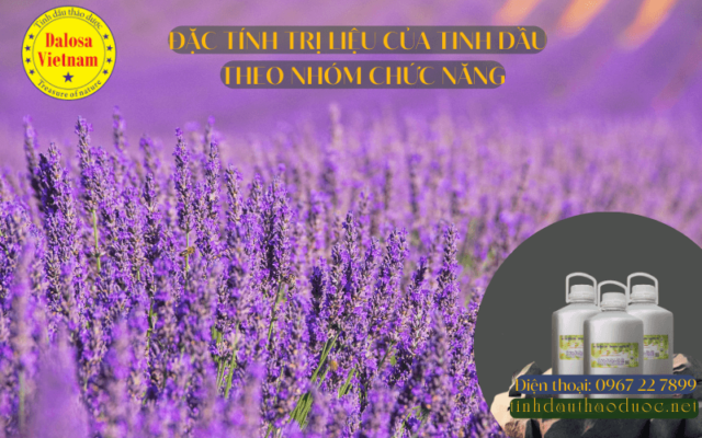 a lavender field with a bottle of oil