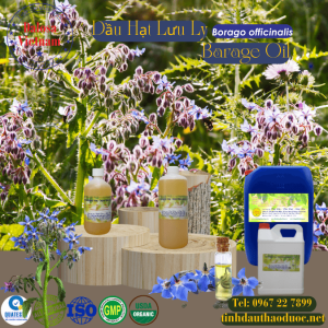 Dầu Hạt Lưu Ly - Borage Oil 1 Lít