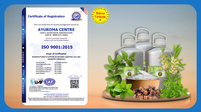 mot so chung nhan iso 9001 2015 cua doi tac cung ung cho dalosa viet nam lg