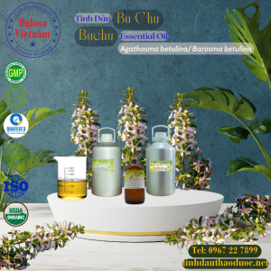 Tinh Dầu Bù Chu - Buchu Essential Oil 1 Lít