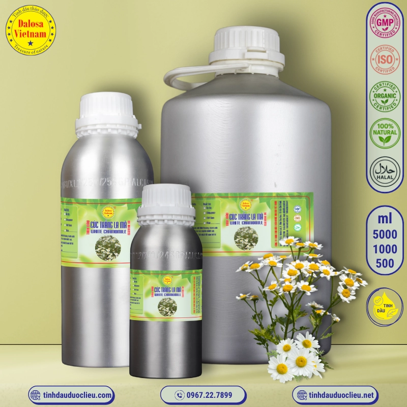 Tinh Dầu Cúc Trắng La Mã - White Chamomile Essential Oil 1 tinh dau cuc trang la ma – white chamomile essential oil 2