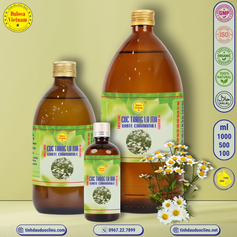 Tinh Dầu Cúc Trắng La Mã - White Chamomile Essential Oil 2 tinh dau cuc trang la ma – white chamomile essential oil