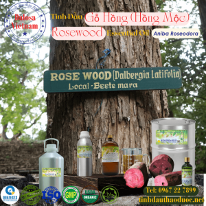 Tinh Dầu Gỗ Hồng - Rosewood Essential Oil 1 lít