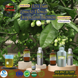 Tinh Dầu Hoa Bưởi - Grape Fruit Flower Essential Oil