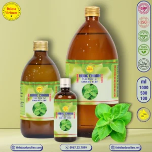 Tinh Dầu Húng Chanh (Tần Dày Lá)- Coleus Leaf Essential Oil