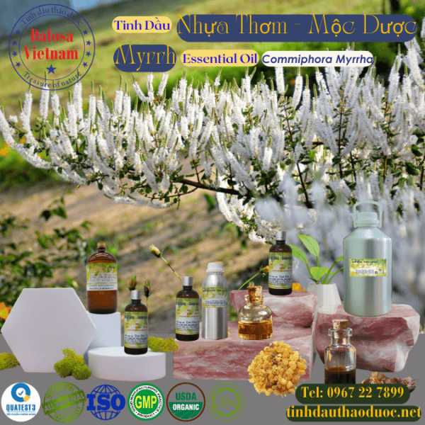 Tinh Dầu Nhựa Thơm Mộc Dược - Myrrh Essential Oil