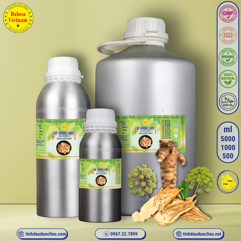 Tinh Dầu Rễ Đương Quy - Angelica Root Essential Oil 1 tinh dầu rễ đương quy