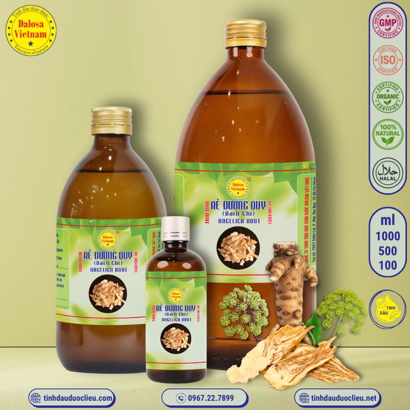 Tinh Dầu Rễ Đương Quy - Angelica Root Essential Oil 2 tinh dau re duong quy bach chi angelica root angelica archangelica essential oil
