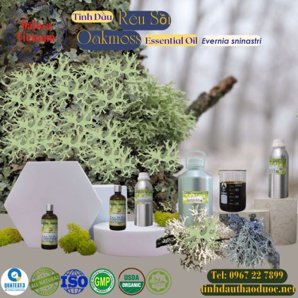 Tinh Dầu Rêu Sồi - Oakmoss Essential Oil 1 Lít