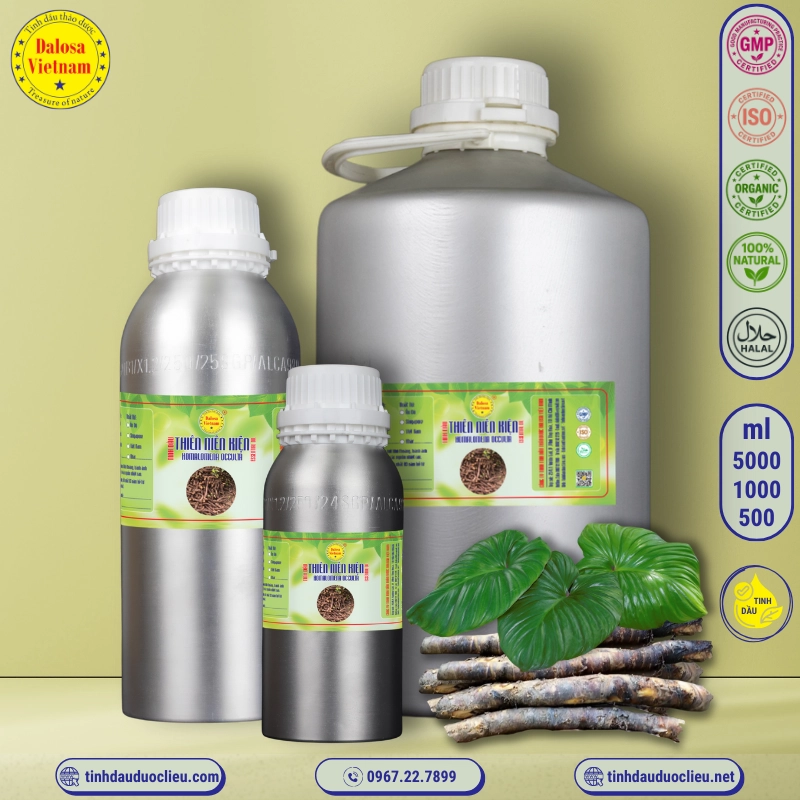 Tinh Dầu Thiên Niên Kiện - Homalomena Occulta Essential Oil 3 tinh dau thien nien kien homalomena occulta essential oil 2