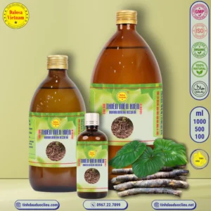 Tinh Dầu Thiên Niên Kiện - Homalomena Occulta Essential Oil 4 tinh dau thien nien kien homalomena occulta essential oil