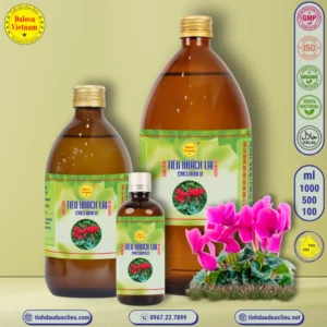 tinh dau tien khach lai cyclamen cyclamen persicum essential oil