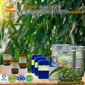 Tinh Dầu Tràm 99% - Eucalyptol Essential Oil 1 lít