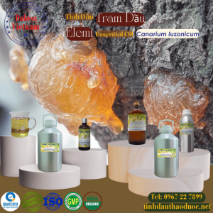 Tinh Dầu Trám Dầu - Elemi Essential Oil 1 lít