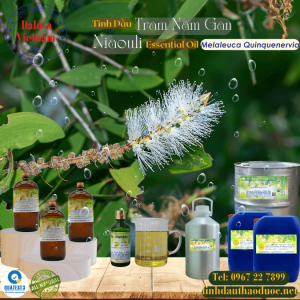 Tinh Dầu Tràm Năm Gân - Niaouli Essential Oil 1 Lít