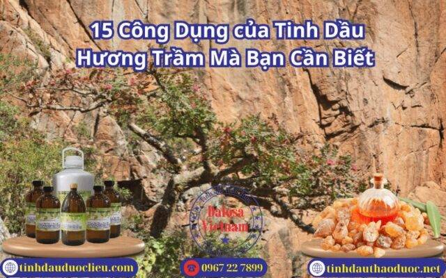 15 Công Dụng của Tinh Dầu Hương Trầm Mà Bạn Cần Biết