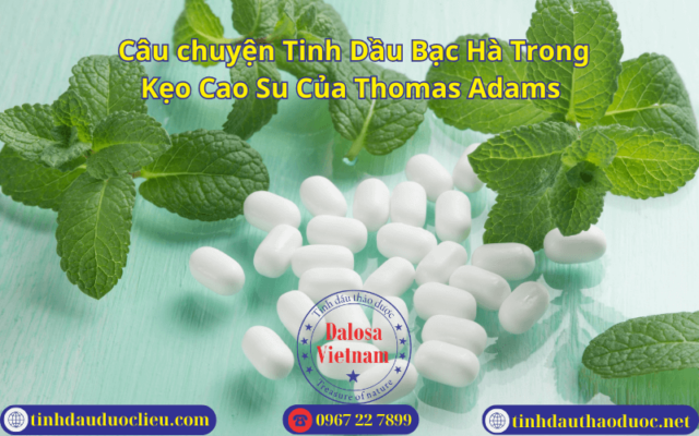 Câu chuyện Tinh Dầu Bạc Hà Trong Kẹo Cao Su Của Thomas Adams