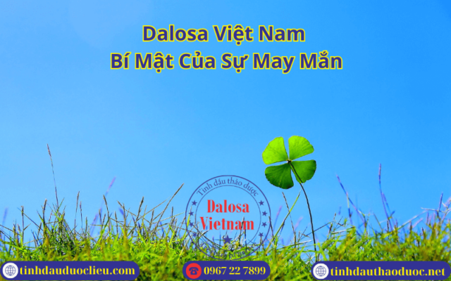 Dalosa Việt Nam Và 5 Bí Mật Của Sự May Mắn