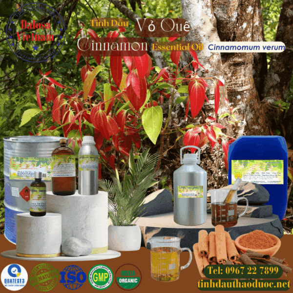 Tinh Dầu Vỏ Quế - Cinnamon Essential Oil