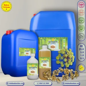 Dầu Hạt Đương Quy – Angelica Seed Oil