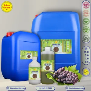 Dầu Hạt Nho – Grapre Seed Oil