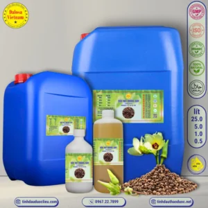 Dầu Hạt Vong Vang – Hoàng Quỳ – Ambrette Oil